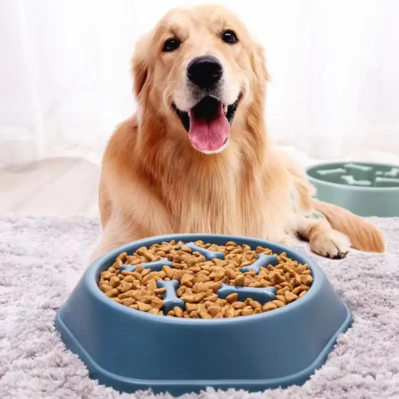 Slow Feeder Dog Bowl – Anti-Choke Non-Slip Puzzle Pet Dish